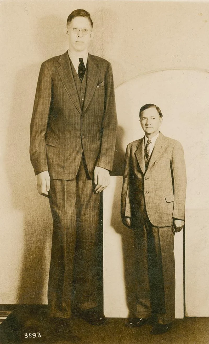 Robert_Wadlow_postcard.webp