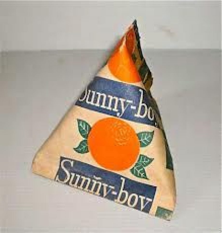 Sunny-Boy-920x966.jpg