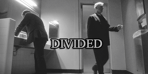 United-we-stand-divided-we-fall-tiva-35921368-500-250.gif
