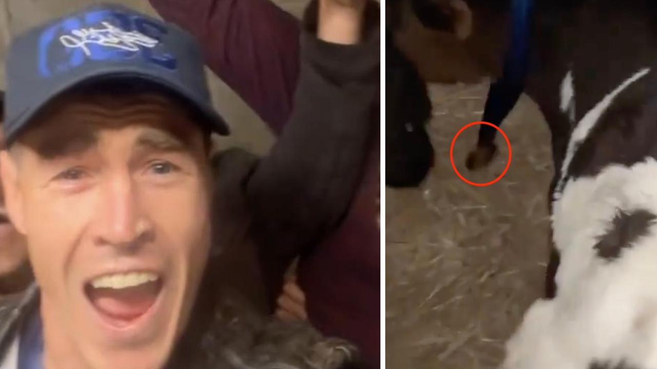 Certified Legendary Thread GEELONG WINS 2022 GRAND FINAL BY PLENTY Page 41 BigFooty Forum