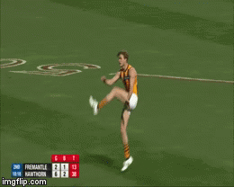 TDhwgEl.gif