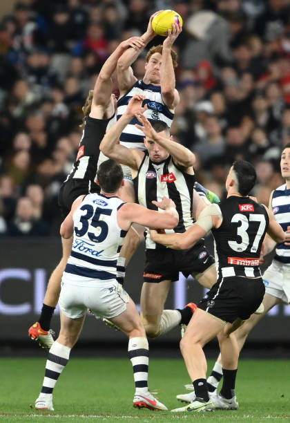 melbourne-australia-gary-rohan-of-the-cats-marks-during-the-afl-first-qualifying-final-match.jpg