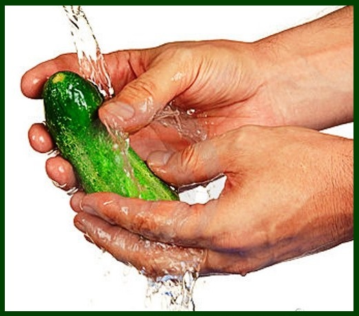 washing-cucumbers.jpg