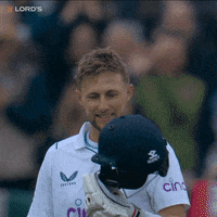 Happy England Cricket GIF by Lord's Cricket Ground