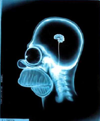 Simson_brain.jpg