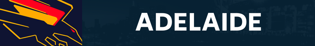ADELAIDE club banner