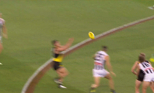 FjKp8kW.gif