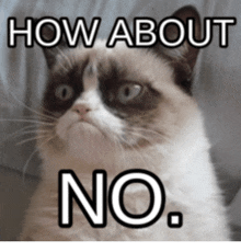 grumpy-cat-meme.gif