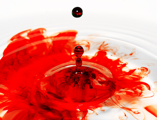 blood-in-the-water.jpg