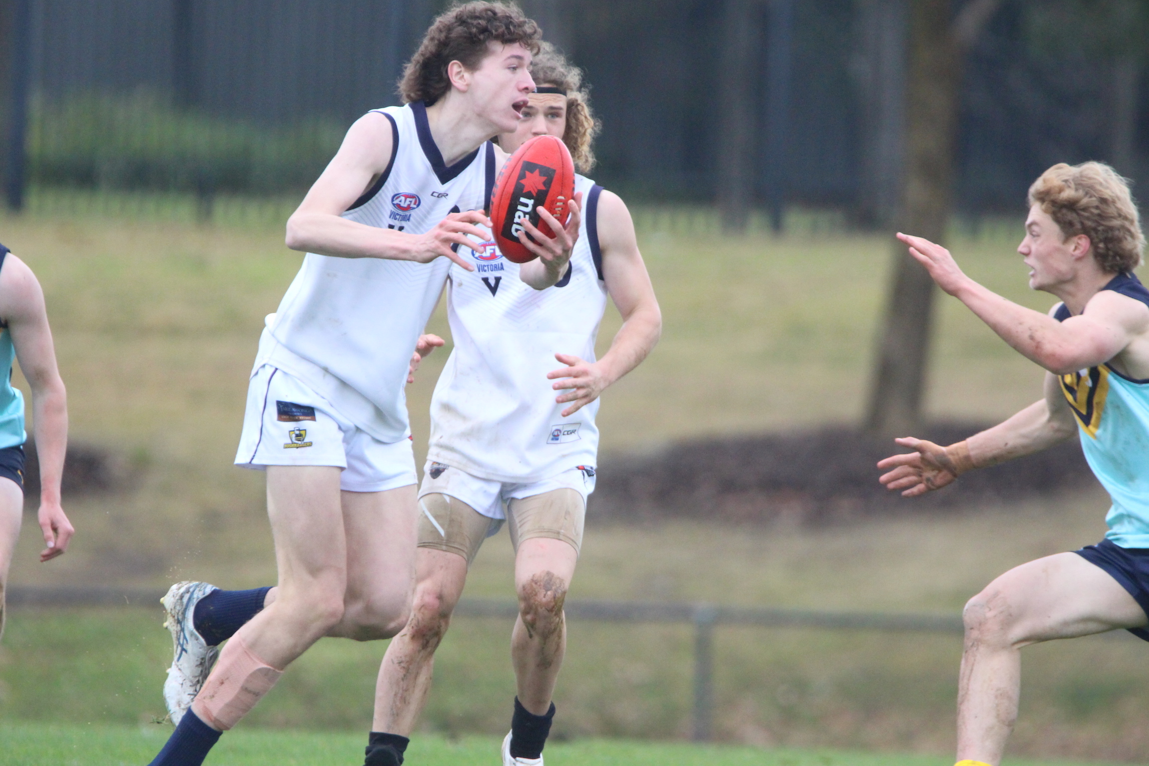 central.rookieme.com