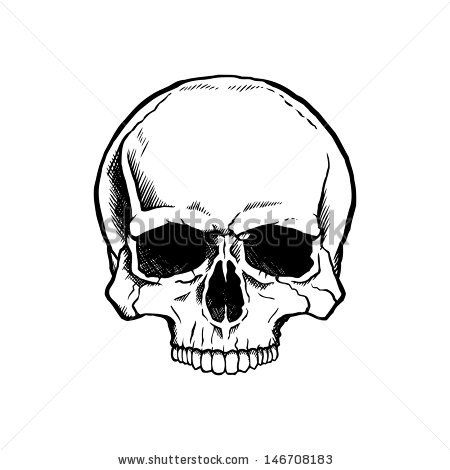 145b96212f3f360d52ad719d6d941398--skull-drawings-tattoo-designs.jpg