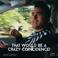 Pop Tv Davidrose GIF by Schitt's Creek
