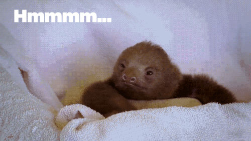 PH1SS.gif