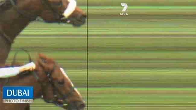 681663-melbourne-cup-photo-finish.gif