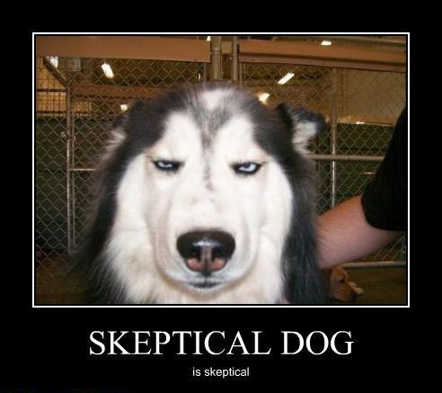 skeptical-dog.jpg