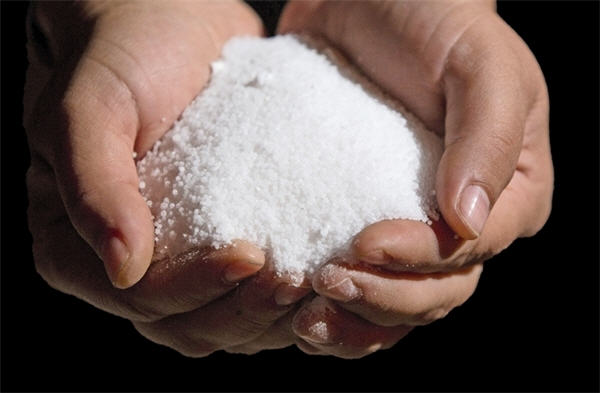 Image result for grain of salt