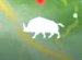 pAqxv.png