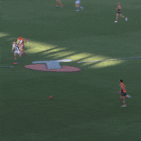 North Melbourne Sport GIF by NMFCOfficial