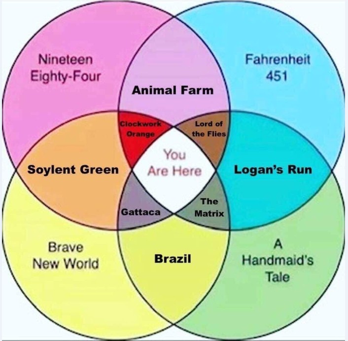 d5n7dbr3w9o41.jpg
