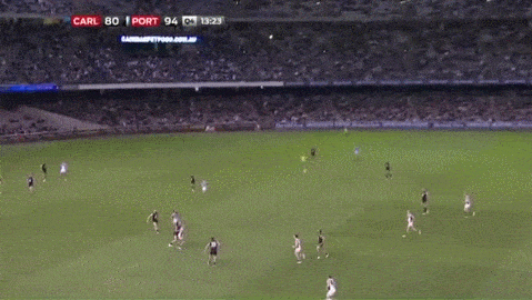 vb3xdR.gif