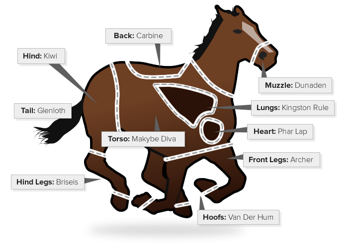 graphic3a-frankenhorse2c-the-melbourne-cup-champion-of-champi-data.png