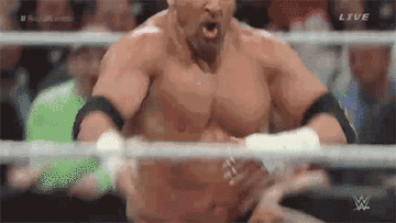 This Triple H 'Suck It' GIF Was The Most Ridiculous Moment From The Royal  Rumble