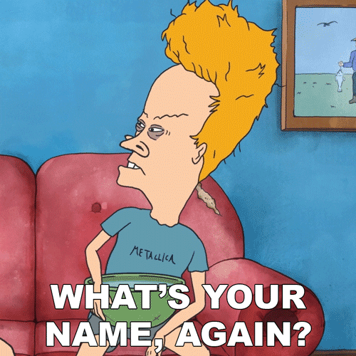 beavis-whats-your-name-again.gif