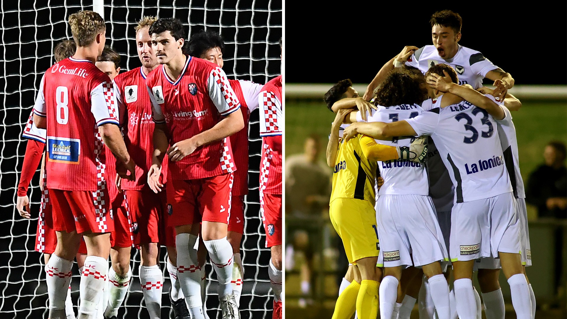 www.theffacup.com.au