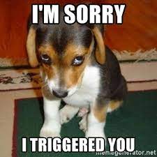 I'm sorry I triggered you - sorry dog | Meme Generator