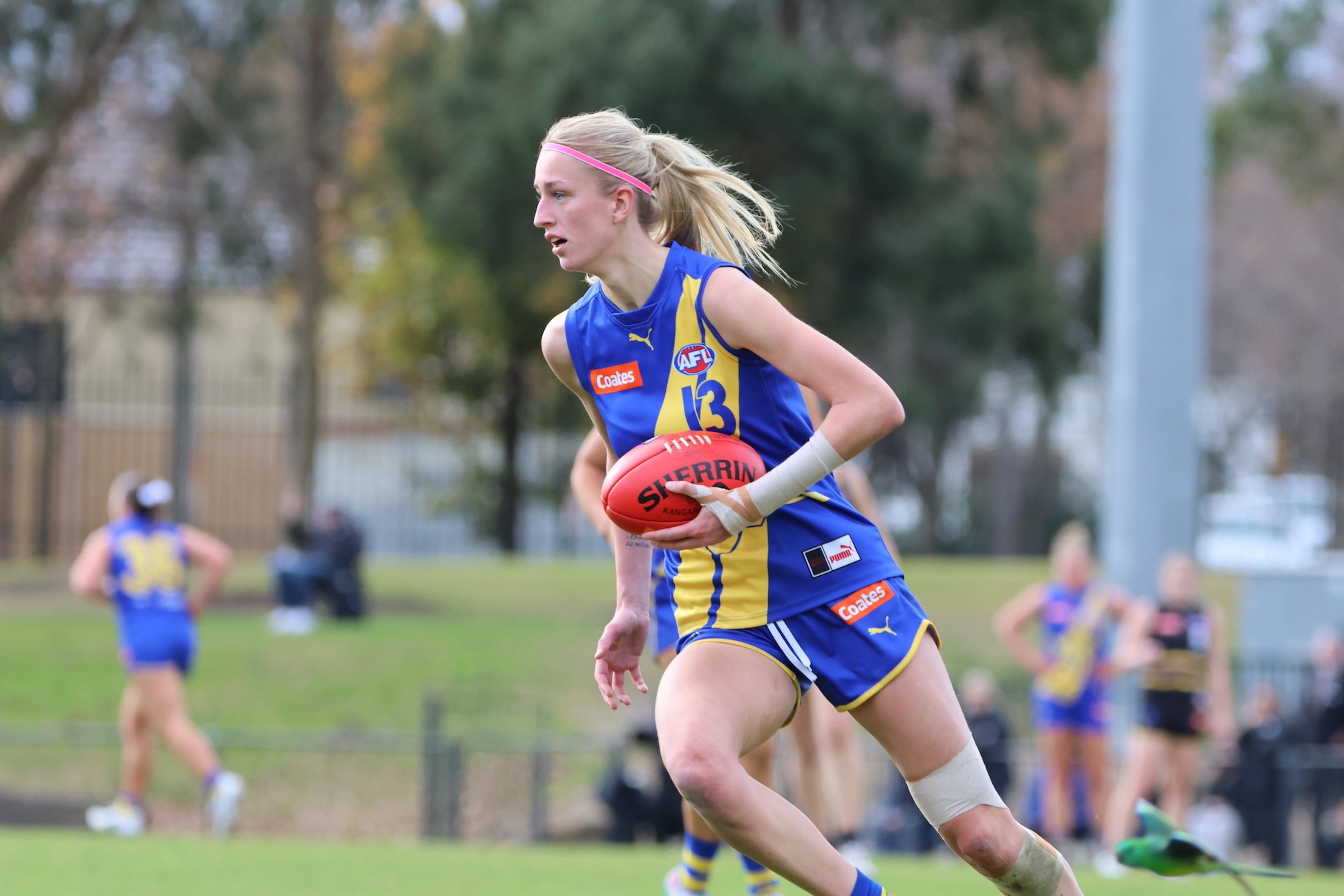 central.rookieme.com