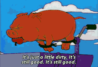 5ez9gi8mhfzf1.gif