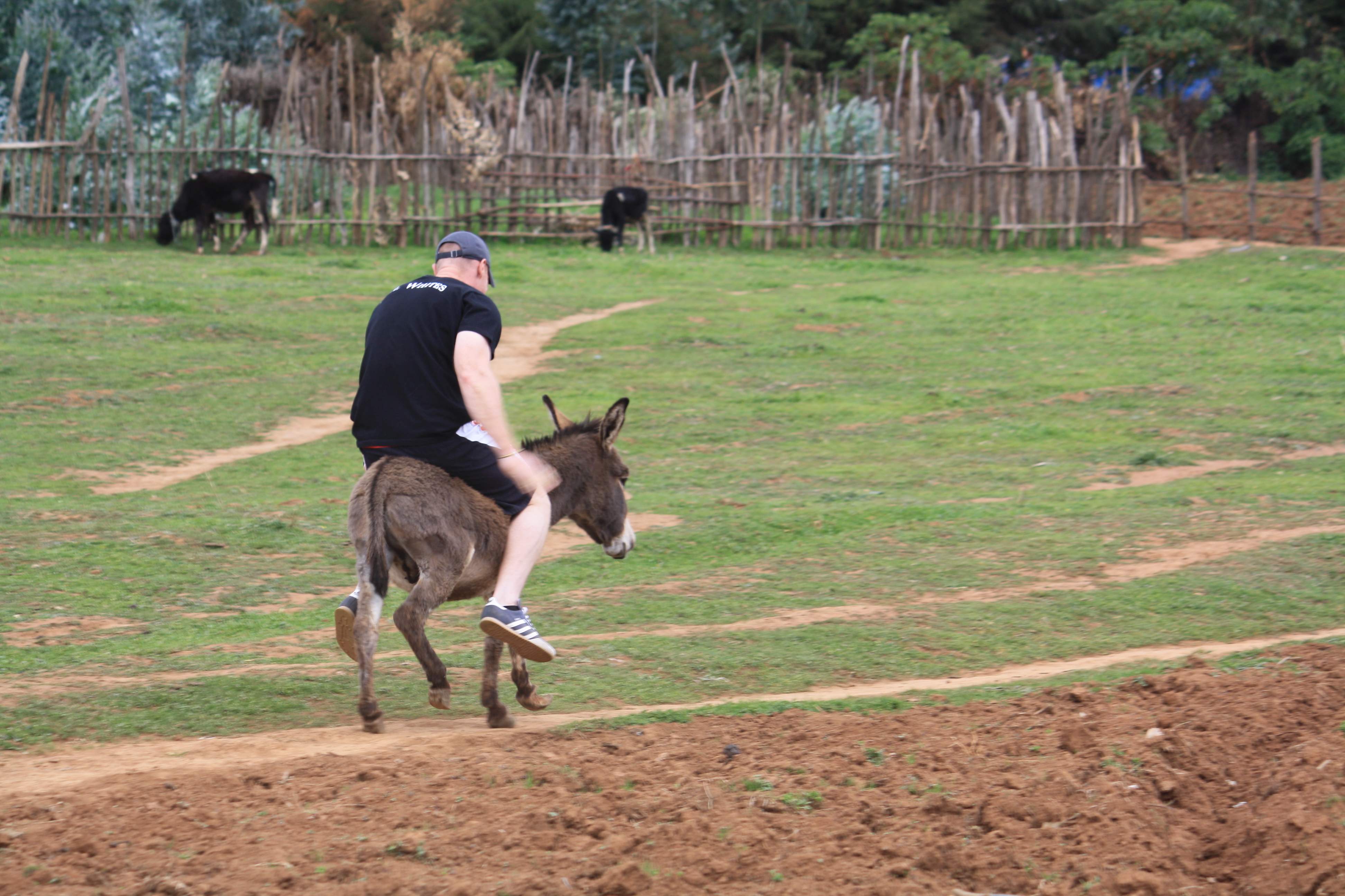 fat-man-on-a-donkey.jpg