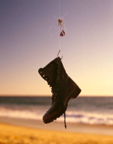 104476250-beach-fishing-with-boot-on-the-hook-gettyimages.jpg