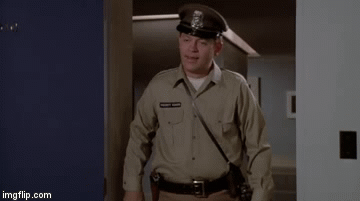 1vltxx.gif