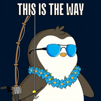 Lets Go Penguin GIF by Pudgy Penguins