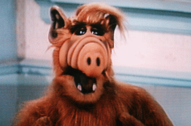 alf_image__1_.gif