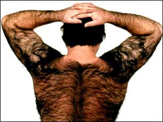 hairy_back_contest.jpg