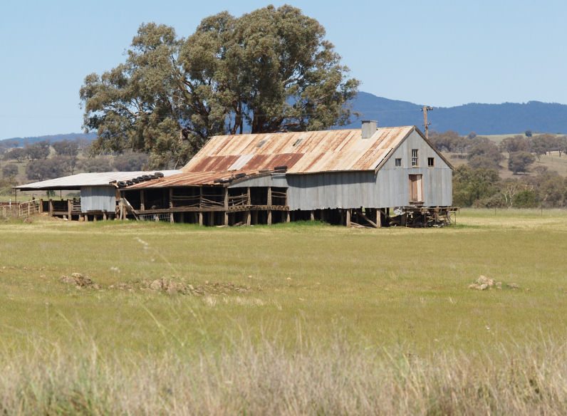 shearing+shed.jpg