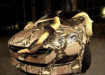 Snake+Art+Car.jpg