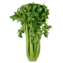 celery+whole+bunch.jpg