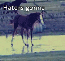 horse-haters-gonna-hate.gif