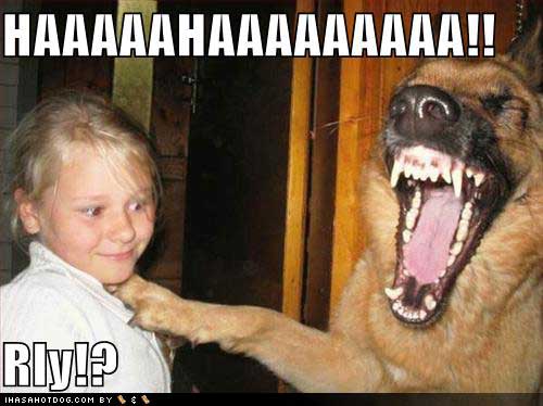 funny-dog-pictures-laughing-at-little-girl.jpg