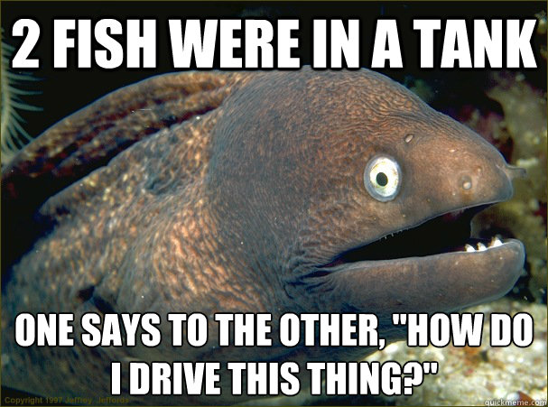 Bad-Joke-Eel-Fish-Drive-Tank.jpg