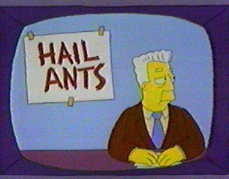 hail-ants.jpg