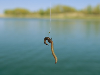 joel-sartore-a-fishing-hook-baited-with-an-earthworm.jpg