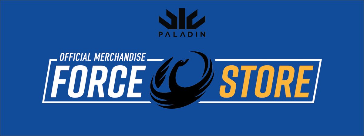 www.paladinsports.com