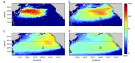 Fukushima-Radiation-University-Of-New-South-Wales-460x216.jpg