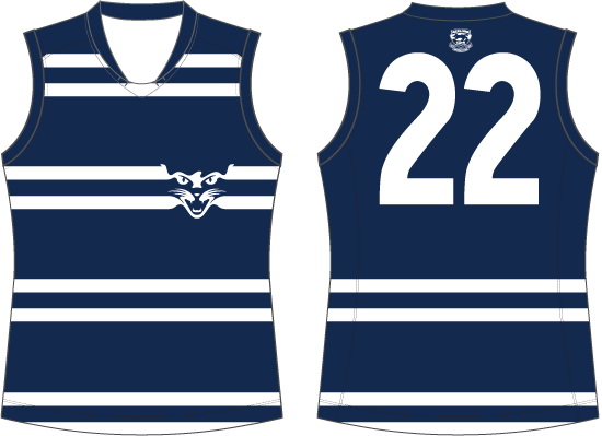 Geelong-Clash-2013.gif