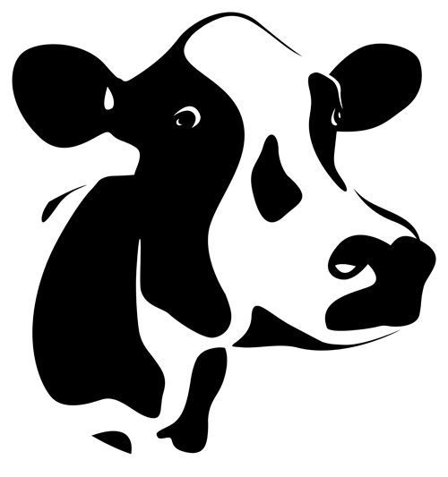 cow_01.jpg