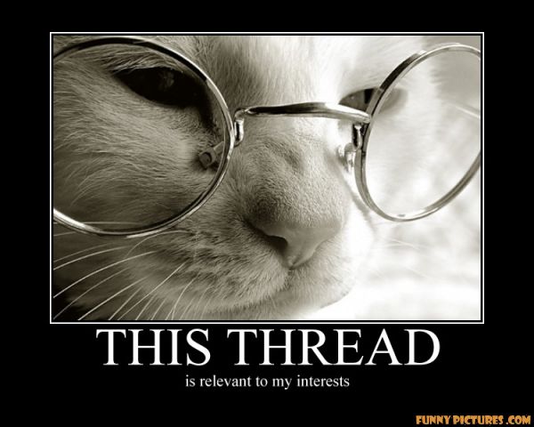 relevant-thread-cat.jpg